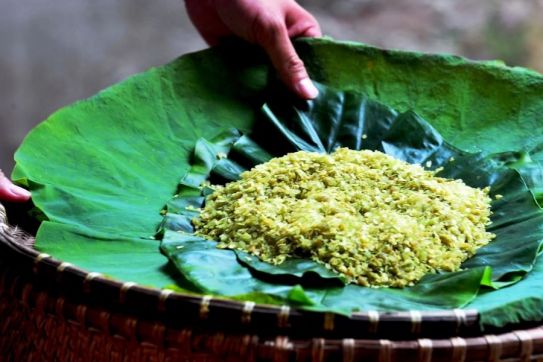 The Autumn of Hanoi and Its Irresistible “Specialties” of Beauty and Emotion